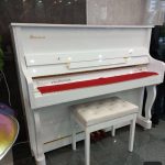 پیانو دیجیتال کاسیو طرح آکوستیک +Casio CDP S 350 آکبند