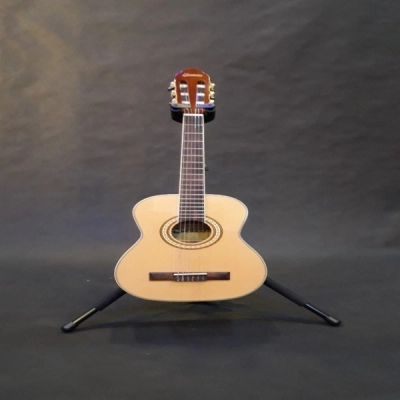 گیتار کلاسیک سانتانا Santana مدل cg010 آکبند - donyayesaaz.com