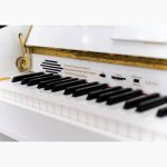 پیانو دیجیتال طرح آکوستیک یاماها Yamaha LX780 i آکبند