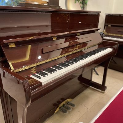پیانو آکوستیک پرل ریور مدل Pearl River PB آکبند