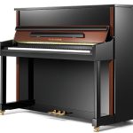 پیانو آکوستیک پرل ریور مدل PEARL RIVER PE 121 Z آکبند