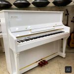 پیانو دیجیتال کاسیو طرح آکوستیک Casio Privia PXS 1000 Pro Oriental آکبند