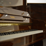 پیانو دیجیتال طرح آکوستیک کاسیو  Casio Eps 120 x آکبند