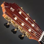 گیتار کلاسیک الحمبرا مدل ALHAMBRA 8 P آکبند