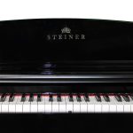پیانو دیجیتال اشتاینر مدل Steiner DP 800 آکبند