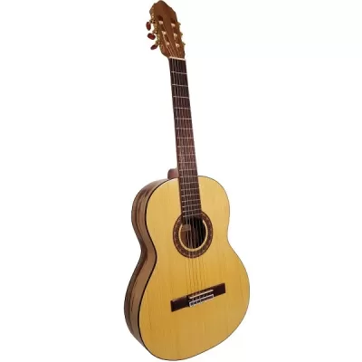 گیتار کلاسیک بنبرگ مدل BENBERG BG-493 آکبند 1