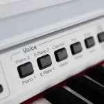 پیانو دیجیتال اورلا Orla CDP 101 آکبند