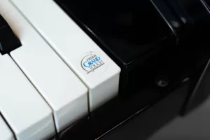 عکس از پیانو دیجیتال اورلا Orla Grand 120 آکبند