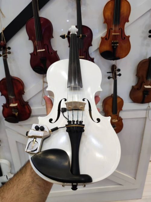 ویولن دست ساز آنتونیو لوچو ویوالدی Antonio Lucio Vivaldi کد 51 آکبند