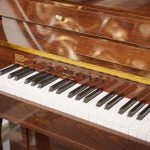 پیانو دیجیتال (طرح آکوستیک) پرل ریور Pearl River P 600 I آکبند