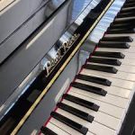 پیانو آکوستیک پرل ریور Pearl River EU 118 آکبند
