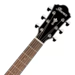 گیتار آکوستیک آیبانز Ibanez AEG 50 BK آکبند