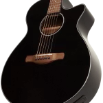 گیتار آکوستیک آیبانز Ibanez AEG 50 BK آکبند