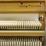پیانو آکوستیک پرل ریور PEARL RIVER UP 115 M 5 آکبند