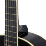 گیتار کلاسیک کلاریس Clariss CCG 100 Black آکبند