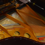 پیانو آکوستیک گرند پرل ریور Pearl River GP 150 آکبند