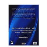 کتاب دنیای زیبای ویلن جلد اول نشر هستان