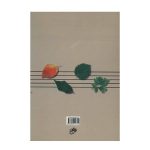 کتاب مجموعه مقالاتی پیرامون دانستنی های علمی موسیقی جلد دوم نشر نای و نی
