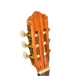 گیتار کلاسیک سایز سه چهارم سویا Sevilla 220 آکبند