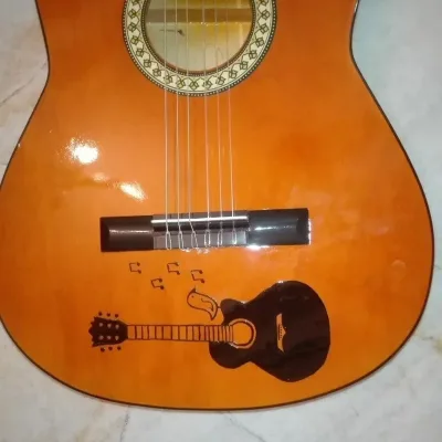 گیتار کلاسیک پی مکس الزیبات PMAX آکبند 1