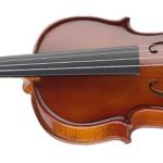 ویولن آکوستیک استگ Stagg Violin VN EF آکبند